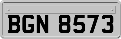 BGN8573