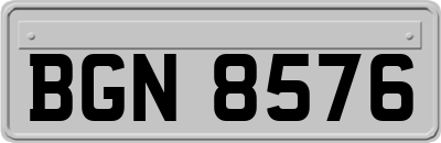 BGN8576