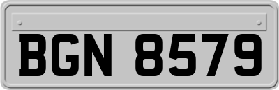 BGN8579