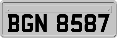 BGN8587