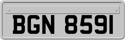 BGN8591