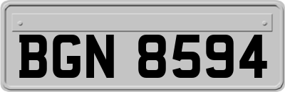BGN8594