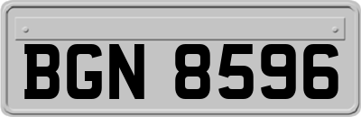 BGN8596