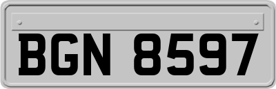 BGN8597