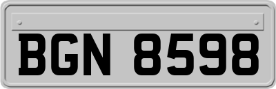 BGN8598