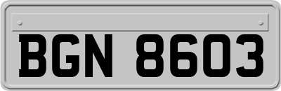 BGN8603