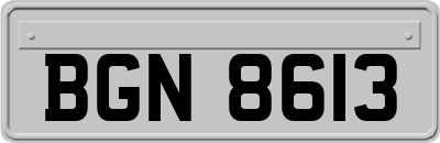 BGN8613