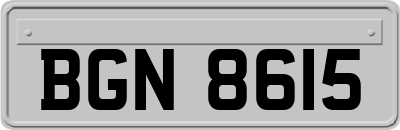 BGN8615