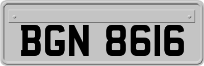 BGN8616