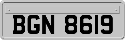 BGN8619