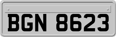 BGN8623