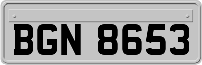 BGN8653