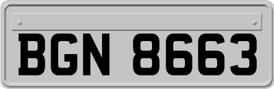 BGN8663