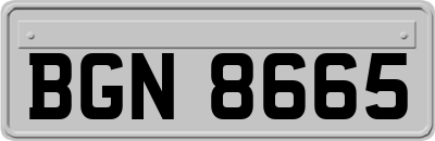 BGN8665