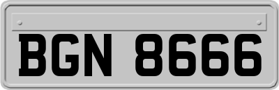 BGN8666