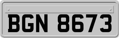 BGN8673