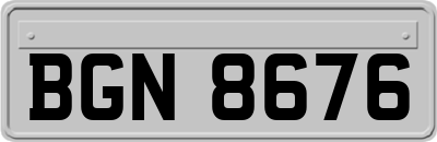 BGN8676