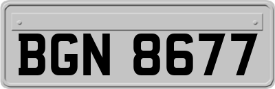 BGN8677