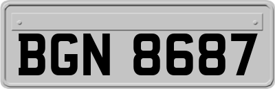 BGN8687