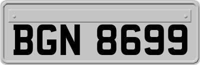 BGN8699