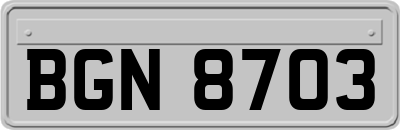 BGN8703