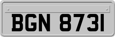 BGN8731