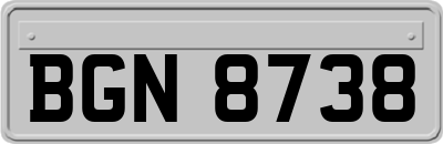 BGN8738