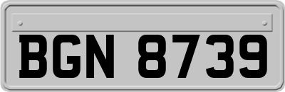 BGN8739