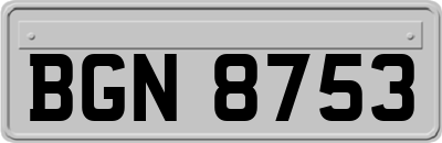 BGN8753