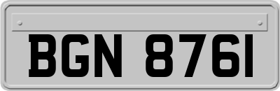 BGN8761