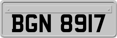 BGN8917