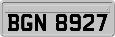 BGN8927