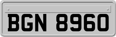 BGN8960