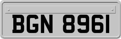 BGN8961