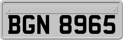 BGN8965