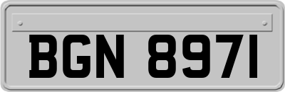 BGN8971