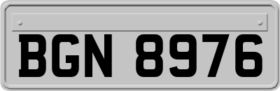 BGN8976