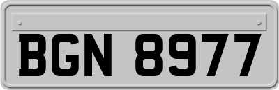 BGN8977