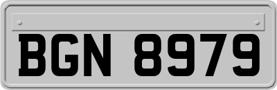 BGN8979