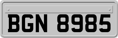 BGN8985