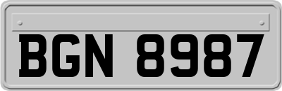 BGN8987