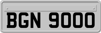 BGN9000
