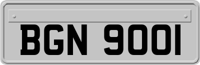 BGN9001