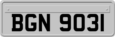 BGN9031