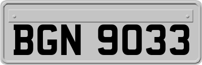 BGN9033