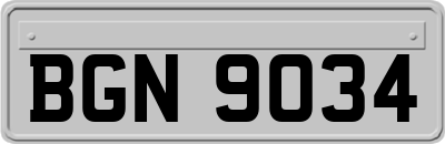 BGN9034