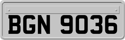 BGN9036