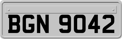BGN9042