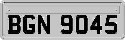 BGN9045