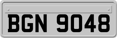 BGN9048